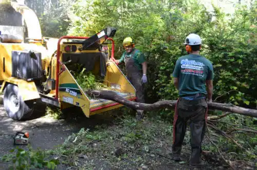 tree services Burnside